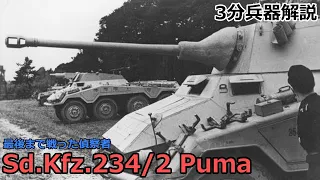 3 minutes Weapon commentary # 117 Sd.Kfz.234 / 2 Puma (Puma armored car)