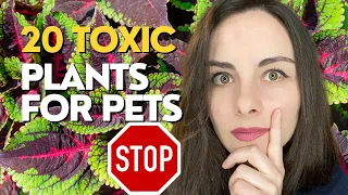 20 TOXIC PLANTS For Dogs | And Cats