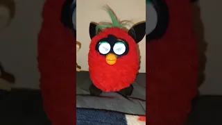 black cherry furby 2012 diferent.