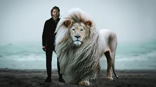 This Is The Most Powerful Lion in the World