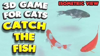 3D game for cats | CATCH THE FISH (isometric view) | 4K, 60 fps, stereo sound