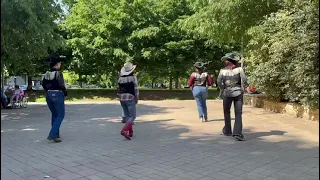 country line dance in 1'freezer- 2' electric slide- 3' electric stomp