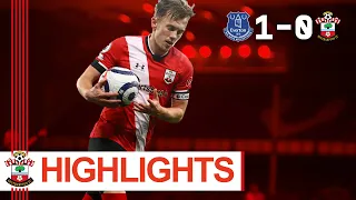 90-SECOND HIGHLIGHTS: Everton 1-0 Southampton | Premier League