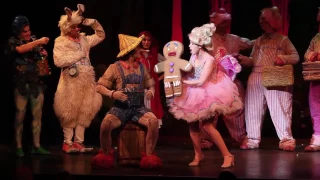 Freak Flag Shrek El Musical The Stage Company Argentina Teatro Maipo