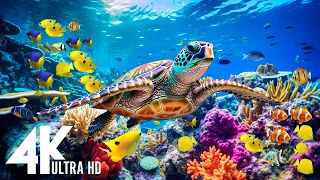 [NEW] 3 HOURS Stunning of 4K Underwater Wonders + Relaxing Music | Coral Reefs & Colorful Sea Life