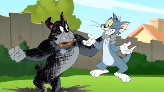 Tom and Jerry 2019  Fast Furious Tom and Jerry in Hospital Cartoons For Kids