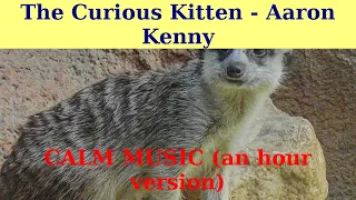 CALM MUSIC. || The Curious Kitten by Aaron Kenny. || An hour version.