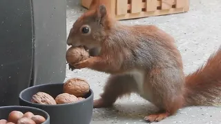 Tagträume🐿️Zusammen und getrennt