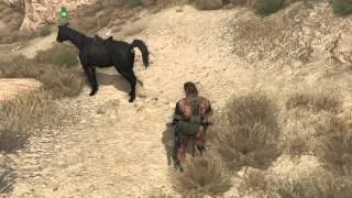 MGSV: D-Horse - A Rider's Guide