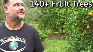 EVERY Fruit Tree We're Growing Full Garden Tour