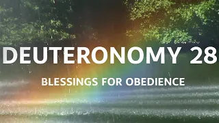 Deuteronomy 28| Blessings For Obedience |Soak In Gods Word| Stress Relief| Audio Bible for 1 Hour|