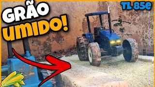 GRÃO ÚMIDO DE MILHO!!🌽