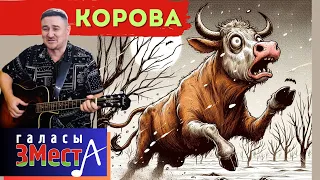Корова - Галасы ЗМеста