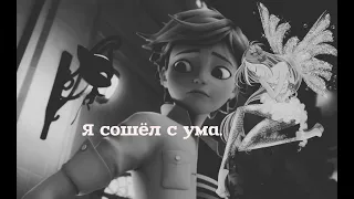 Я сошёл с ума. Винкс Флора и Супер Кот.