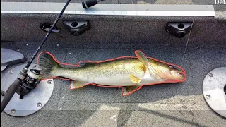 First River Adventure (Boat Angling) 2024 Walleye Fishing the Wisconsin River