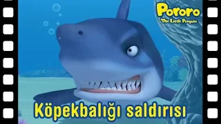 Köpekbalığı şaldırışı | Kısa film animasyon | Pororo türkçe | Pororo turkish