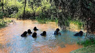 What A Camera Captured In The Philippines Shocked The Whole World