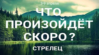 СТРЕЛЕЦ 🍀Прогноз на неделю (3-9 апреля 2023). Расклад от ТАТЬЯНЫ КЛЕВЕР. Клевер таро.