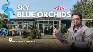 Rain Dance, Reunions & Resort Fun! Sky Blue Orchids (Part 2)