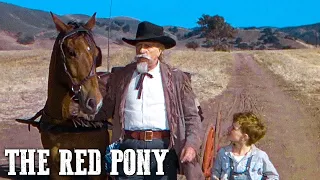 The Red Pony | ROBERT MITCHUM | Western Movie | Drama | Family | Classic Cowboy Film