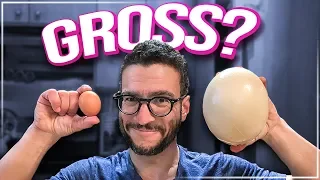 OSTRICH EGG vs. CHICKEN EGG Taste Test [Viva Frei]