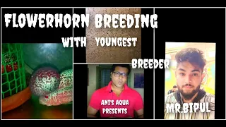 Flowerhorn Breeding with youngest Breeder Mr.Bipul.