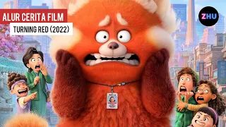 MENDAPAT KAN SEBUAH KUTUKAN BERUBAH MENJADI PANDA YANG LUCU () Alur Cerita Film Turning Red (2022)