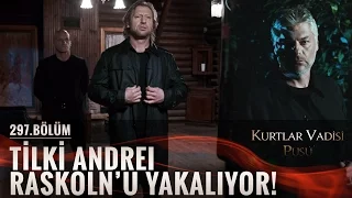 Tilki Andrei Raskoln'u yakalıyor!