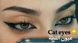 Feline Cat eyeliner| طريقة ايلاينر القطة بالتفصيل للمبتدئين | رغد حمزة
