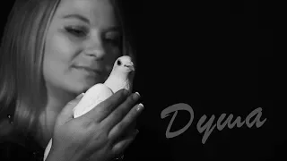Ольга Андрощук & Оксана Свитощук - Душа (Official 4k Music Video)