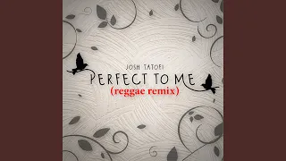 Perfect to Me (Reggae Remix)