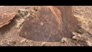 Avian Sphinxes in the Petrified Forest