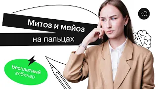 Митоз и мейоз на пальцах | ЕГЭ БИОЛОГИЯ 2022 | СОТКА