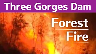 China Three Gorges Dam ● Forest Fire  ● October 22, 2022  ● Water Level and Flood