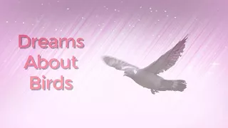 Dreams About Birds | Dreams Meaning and Interpretation