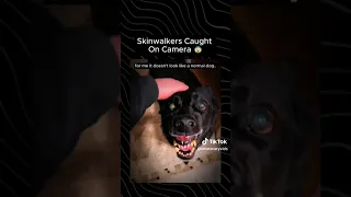 Skinwalker Tiktok