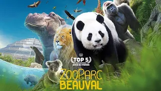 Zoo Parc de Beauval (2023) Plus grand Zoo de France !