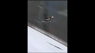 Piotr Żyła Planica 2019 242m!