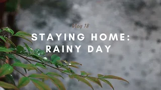 A Rainy Day in Japan (Trying to recover from a cold)