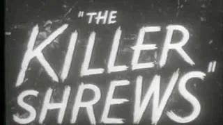 The Killer Shrews (1959) Review - Cinema Slashes