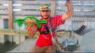 Catching GIANT Blue Crabs At (North Myrtle Beach 2019)