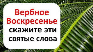 Вербное Воскресенье 2021: только один раз в год скажите эти святые слова на достаток в доме