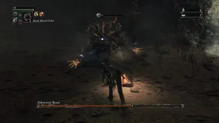 Bloodborne; Abhorrent beast BL4 No hit