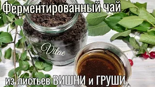 ФЕРМЕНТИРОВАННЫЙ ЧАЙ из листьев ВИШНИ и ГРУШИ простой рецепт в домашних условиях.