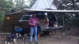 Auto in campeggio sotto la pioggia in montagna - Tenda da tetto - Cane