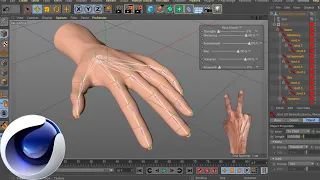 RIGGING of the hand, hand and fingers in Cinema 4D.Bonus controller without XPresso