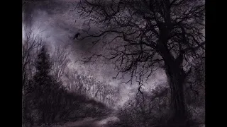 Acoustic Black Metal - Trees of Salem (Instrumental)