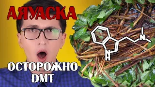 АЯВАСКА🔴ДМТ🔴Ты под наркотой. Последствия, опыт. Эффект Аяуваски.