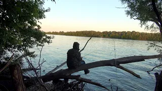 Рыбалка с ночевкой на реке ОКА. Рыбалка на донки, крокодил, спиннинг.Рыба сама бросается на крючок.