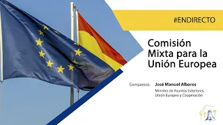 Comisión Mixta para la Unión Europea (19/11/2021)